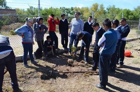 reforestacion-escuelas reforestacion-escuelas