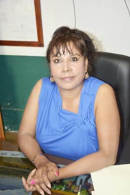 preparatoria-abierta preparatoria-abierta