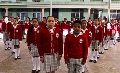primaria-evolucion-1