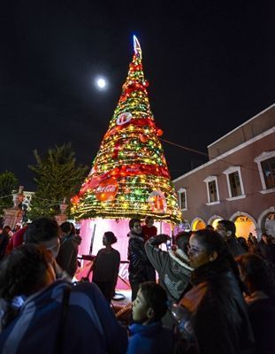 arbol-fresnillo-5