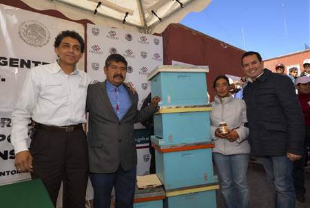 apoyos apoyos