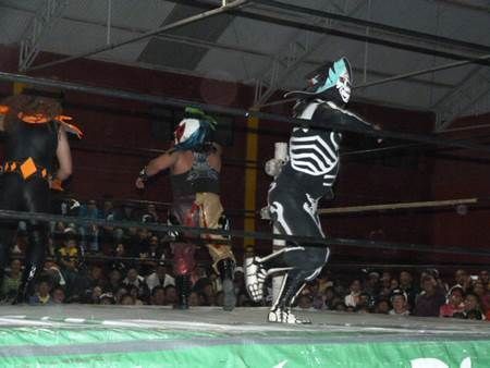 lucha