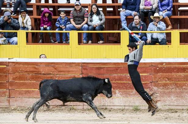 toros toros