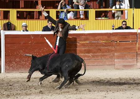 toros-1