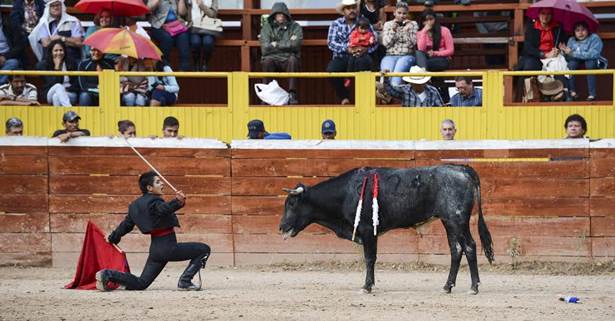 toros-2