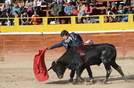 toros-4