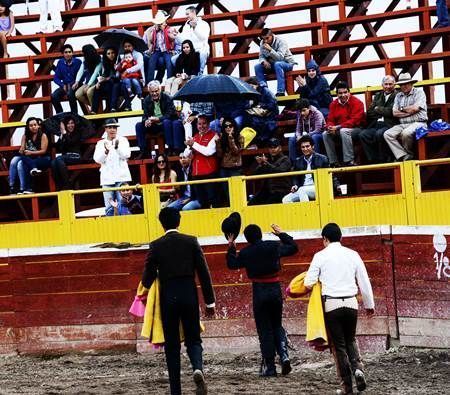 toros-5