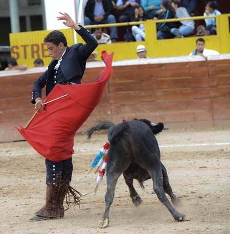 toros-8