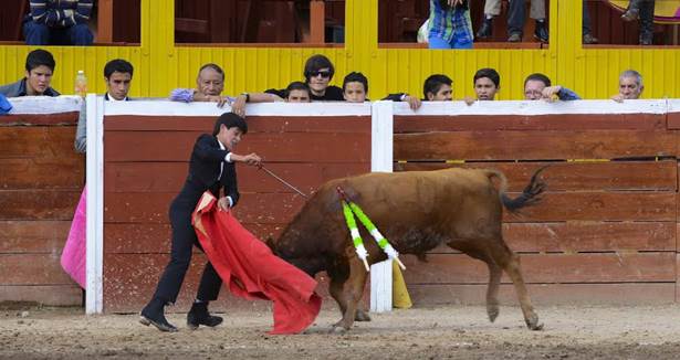 toros-9