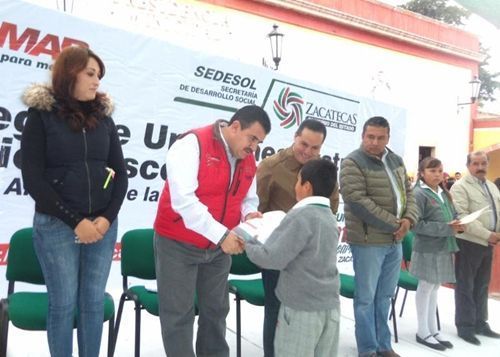 pinos-uniformes-3