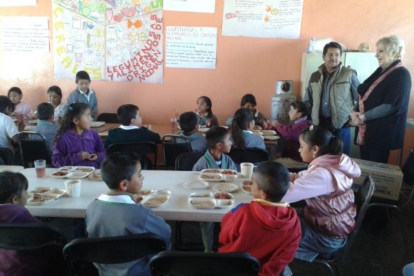 comedores-fresnillo-1 comedores-fresnillo-1