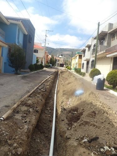 jiapaz-guadalupe-2