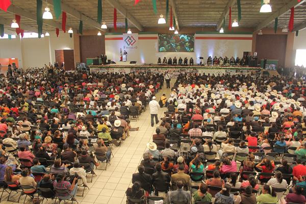 informe-medrano-17