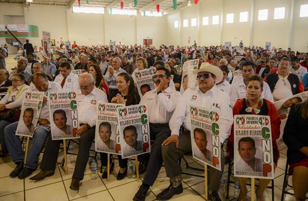 informe-medrano-11