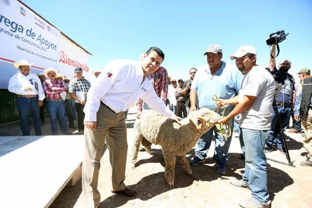 miguel-alonso-miguel-auza miguel-alonso-miguel-auza