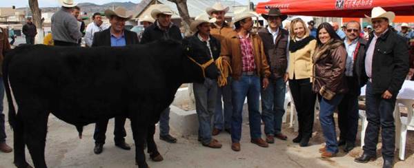 tianguis ganadero tianguis ganadero