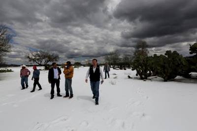 granizada pinos 1