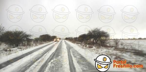granizada fresnillo 2