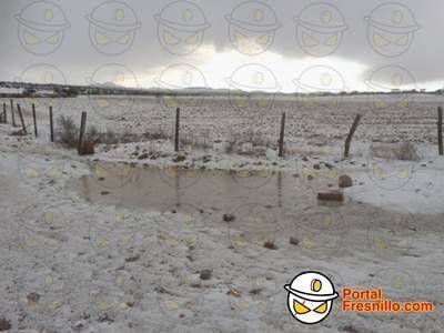 granizada fresnillo 3