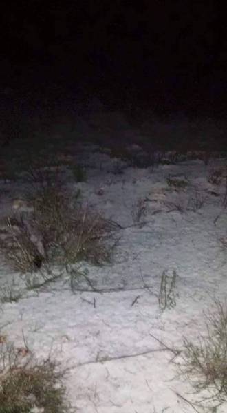 granizada 1 granizada 1