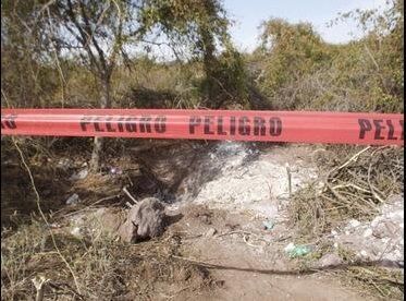 tlajomulco tlajomulco