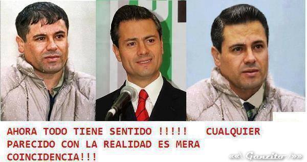 chapo-1