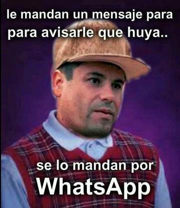 chapo-2