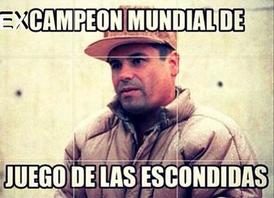 chapo-7