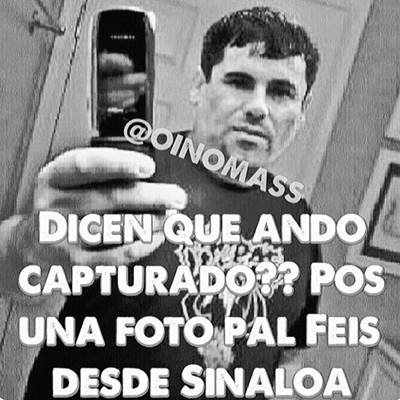 chapo-8
