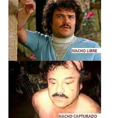 chapo-9