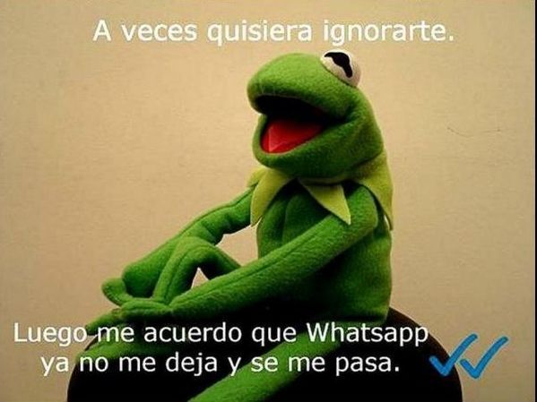 whatsapp whatsapp