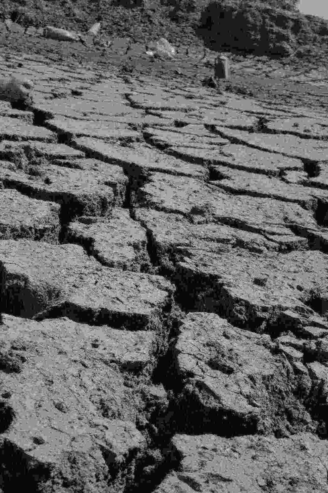 Algunos ladrilleros van a la zona para recoger tierra, lo que no está permitido. Algunos ladrilleros van a la zona para recoger tierra, lo que no está permitido.