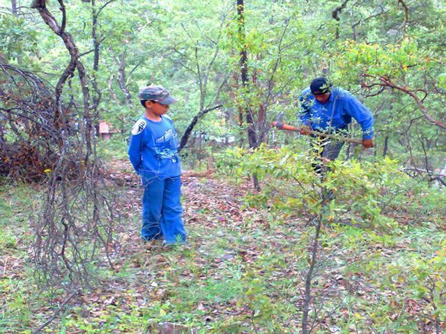 Las plantaciones deben hacerse durante la temporada de lluvias Las plantaciones deben hacerse durante la temporada de lluvias