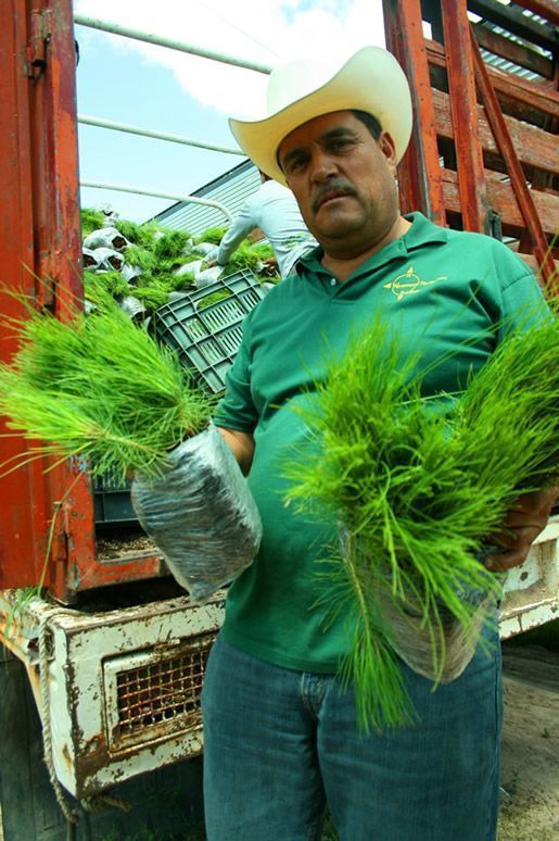 Benito Flores Soto, Comisariado Ejidal Benito Flores Soto, Comisariado Ejidal
