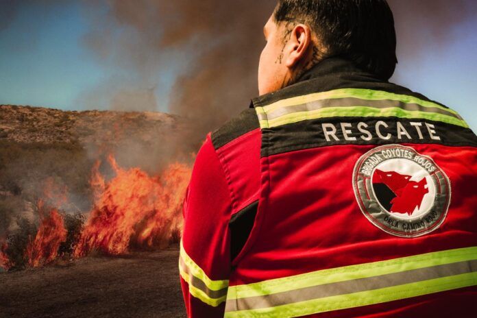 orla-incendio-1