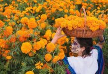 Colores de Día de Muertos en bolsos personalizados