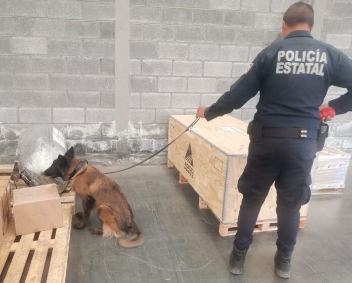 perro-policia