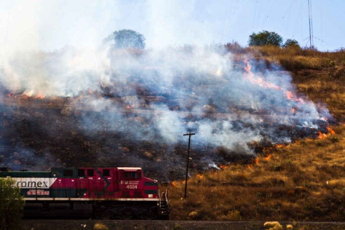El incendio fue provocado El incendio fue provocado