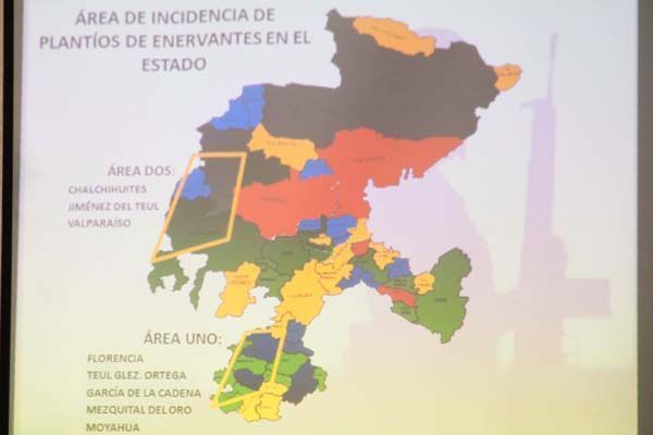 informe-ejercito-zacatecas1