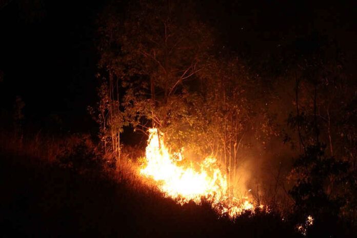 Se dice que uno de los incendios pudo ser provocado