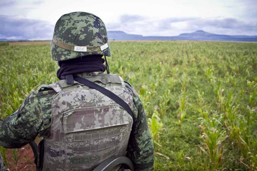 quema-marihuana-zacatecas17