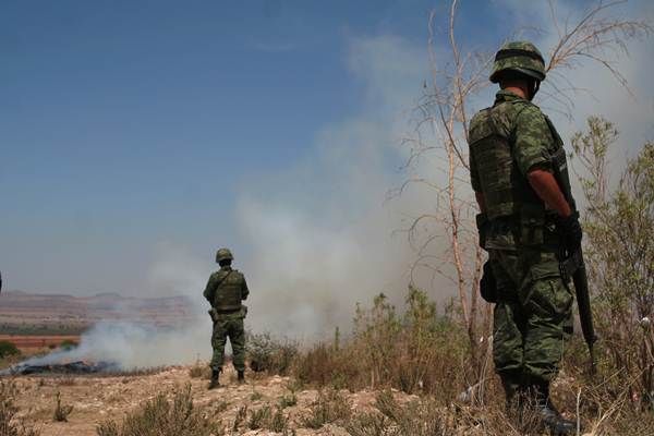 quema-marihuana-zacatecas-4