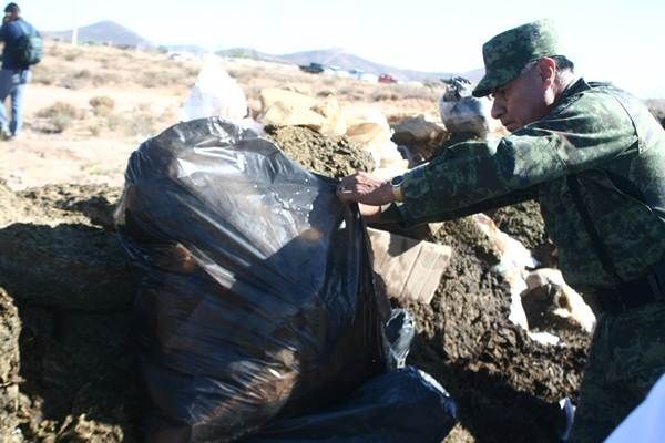 incineracion-marihuana-10