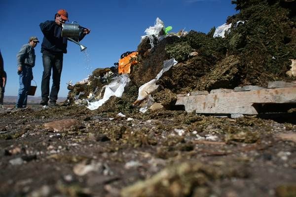incineracion-marihuana-11
