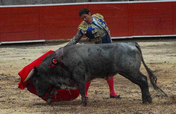 armando-montes-3