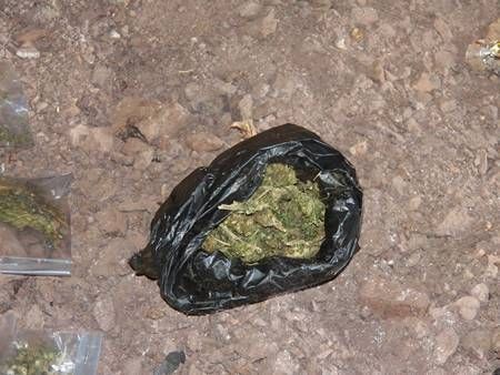 marihuana marihuana