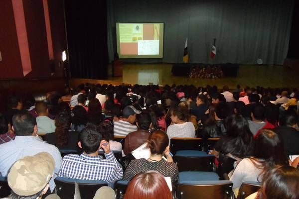 conferencia-insectos-justicia1