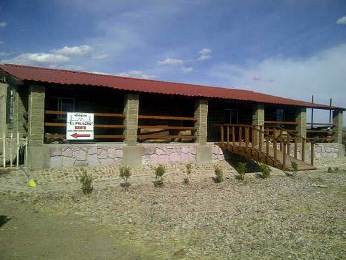 bodega-armas-1 bodega-armas-1
