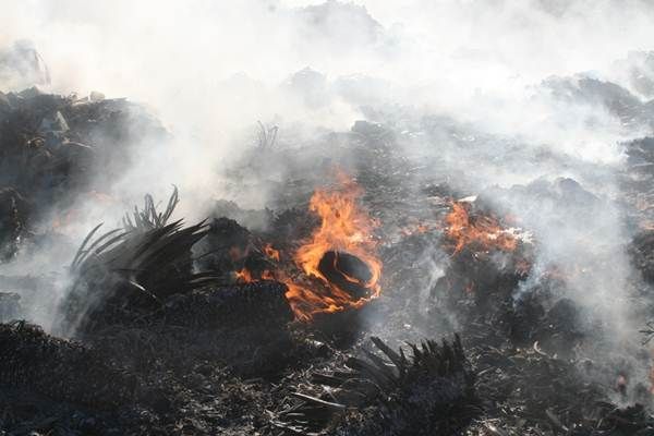 incendio-basurero-zac-6