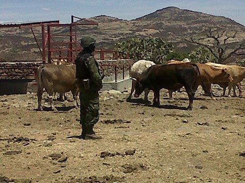 narcolaboratorio-nochistlan-zacatecas13